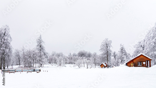 view of brown wooden house among snowy trees © emrah