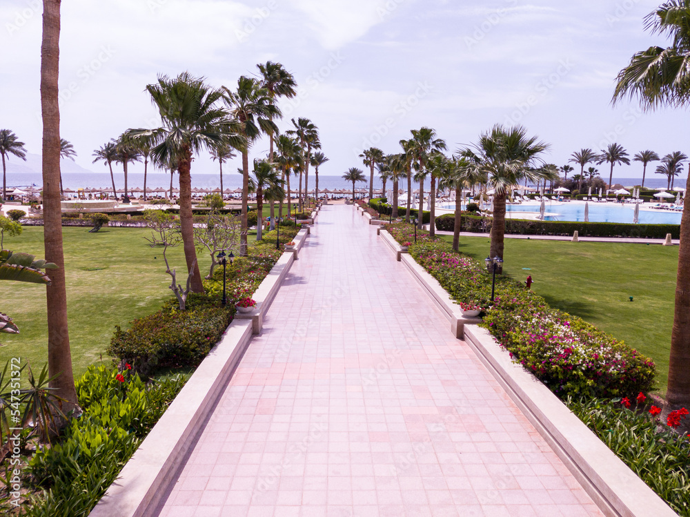 Garden with palms near to the sea