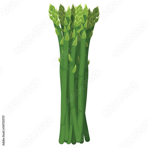 fresh asparagus in the kartun style. healthy food.