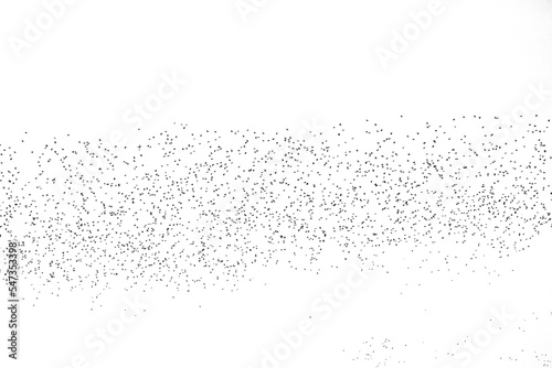 large flock of birds on a white background.