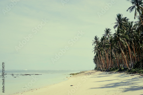 Sunny day on the tropical beach with coconut palm trees. © luengo_ua
