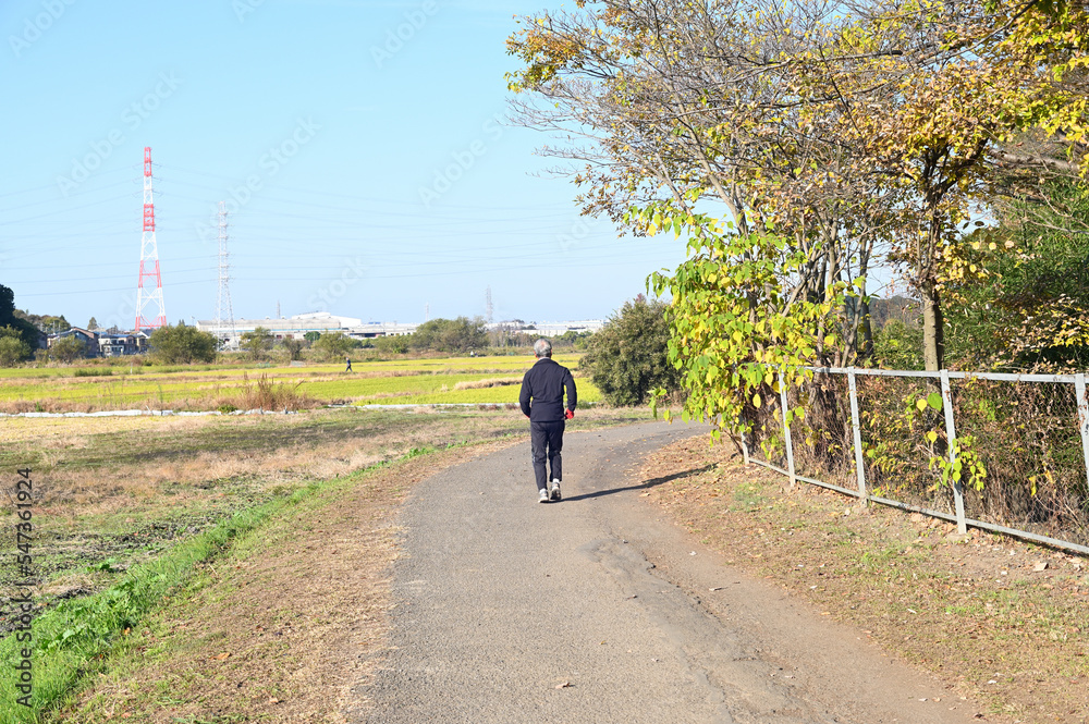 田園のウォーキング 田園のウォーキング