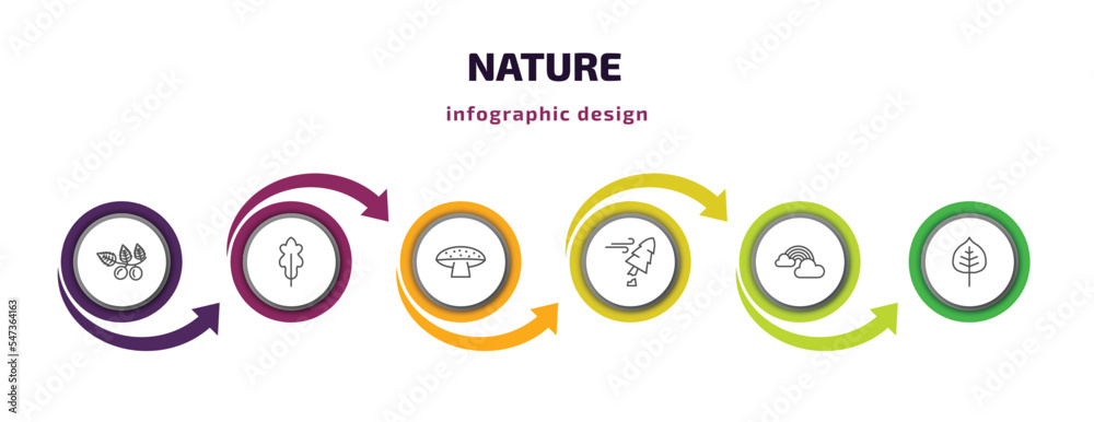 nature infographic template with icons and 6 step or option. nature icons such as briar leaf, oak leaf, amanita, damaged, rainbow behind a cloud, cercis leaf vector. can be used for banner, info nature infographic template with icons and 6 step or option. nature icons such as briar leaf, oak leaf, amanita, damaged, rainbow behind a cloud, cercis leaf vector. can be used for banner, info