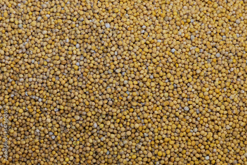 Canvas Print background of peppercorns for sale in the exotic speize shop