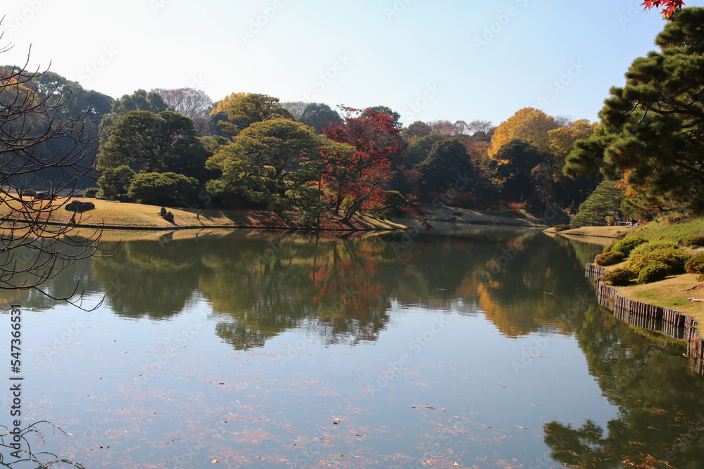 秋の六義園。池と紅葉の森。