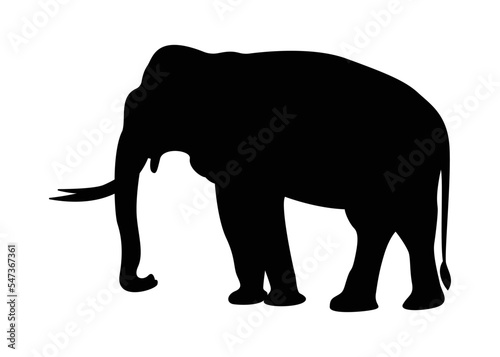 Set of vector silhouettes of elephants. Elephant in various poses-vector illustration