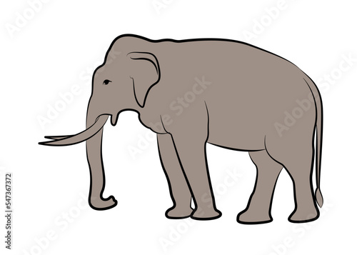 Black line drawing of an elephant on a white background isolated. © SIRAPOB