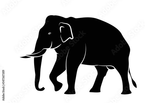 Set of vector silhouettes of elephants. Elephant in various poses-vector illustration