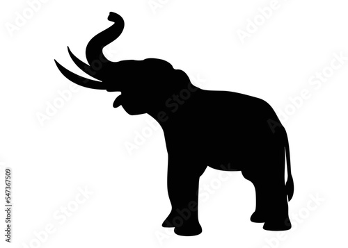 Black elephant silhouette. Vector shadow. Black elephant art illustration silhouette on a white background