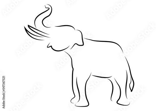 Black line drawing of an elephant on a white background isolated.