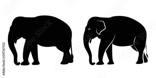 Silhouettes elephant walking, graphics design vector outline Illustration isolated on white background
