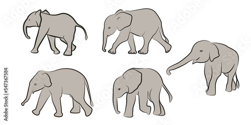 Set of black line drawings of a baby elephant on a white background isolated.