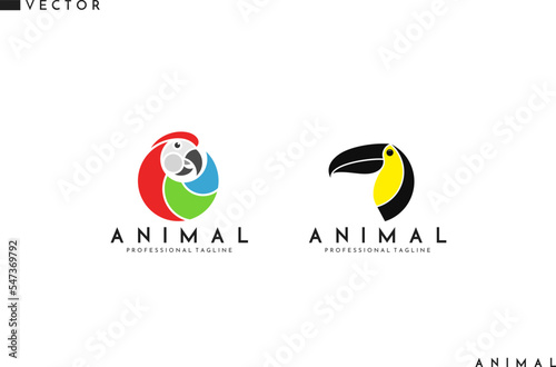 Bird logo. Abstract parrot and toucan