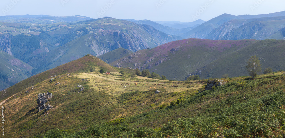 Mountain Landscape in Asturias, Spain