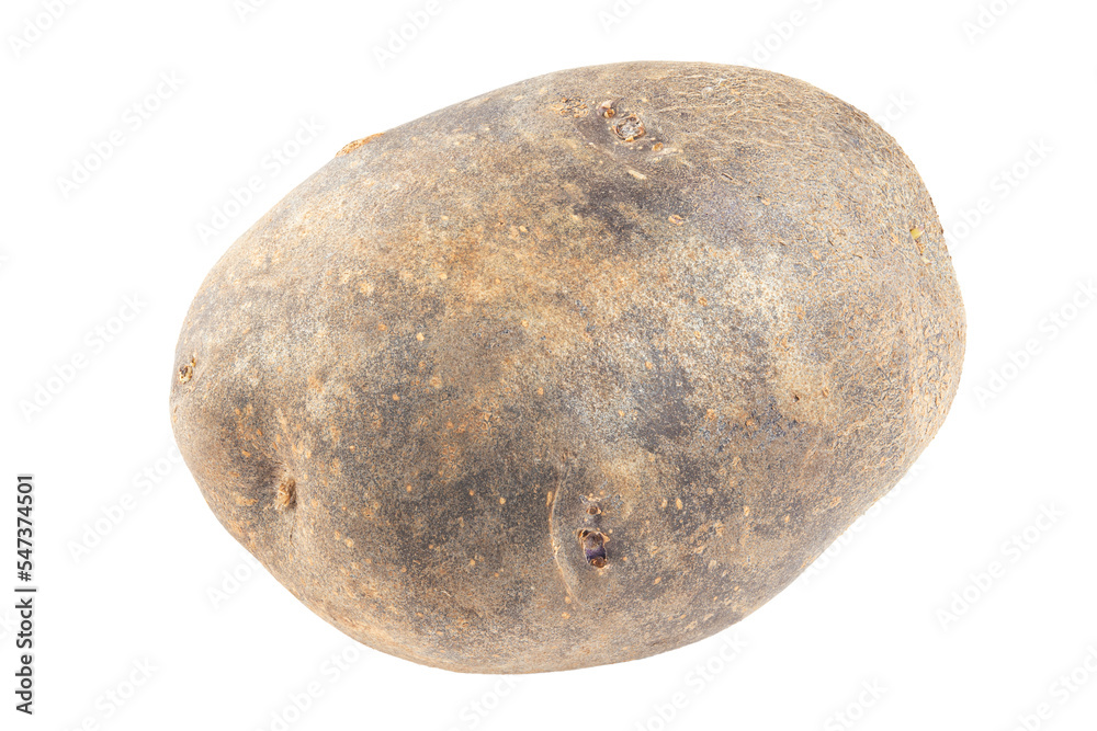 Fresh purple potatoes isolated on white background. File contains clipping path. Fresh purple potatoes isolated on white background. File contains clipping path.