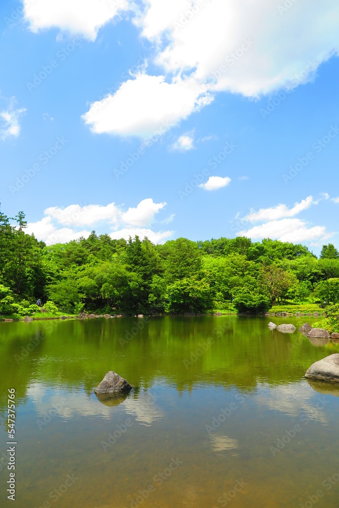 昭和記念公園内の日本庭園の池と木々の風景12