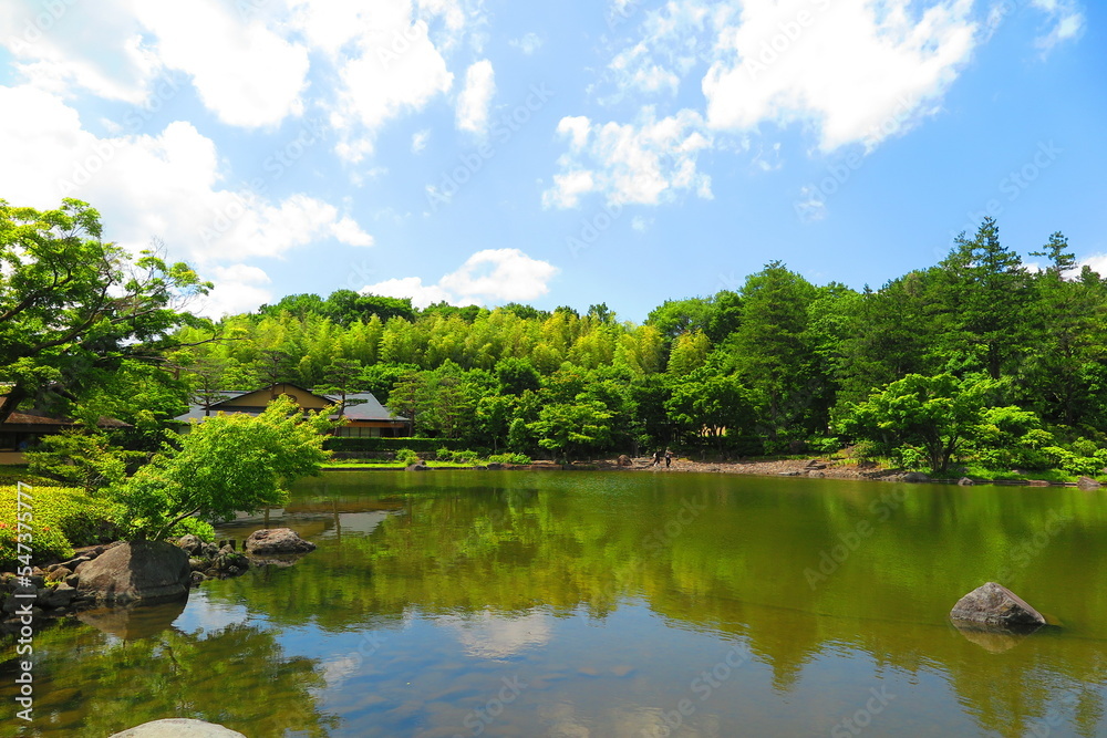 昭和記念公園内の日本庭園の池と木々の風景11