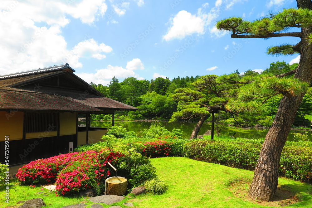 昭和記念公園内の日本庭園の池と木々躑躅の風景4