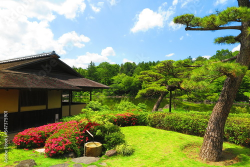 昭和記念公園内の日本庭園の池と木々躑躅の風景4