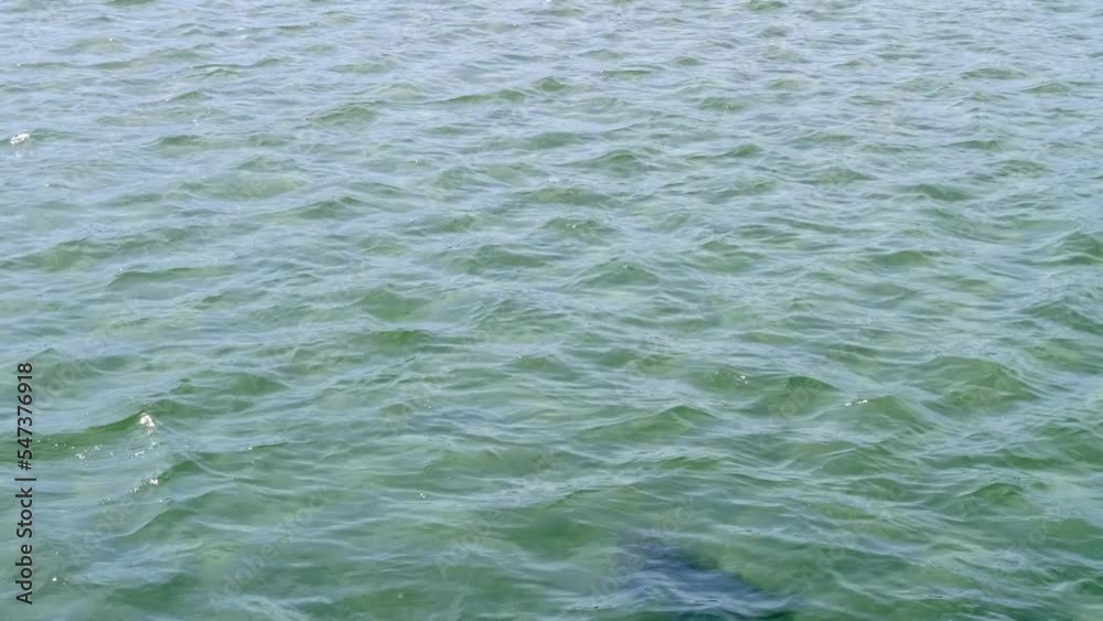 water surface and sun glare on its surface, video. Water full frame. water surface and sun glare on its surface, video. Water full frame.