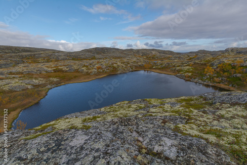 In autumn, tundra with a lake and trees with yellow leaves.