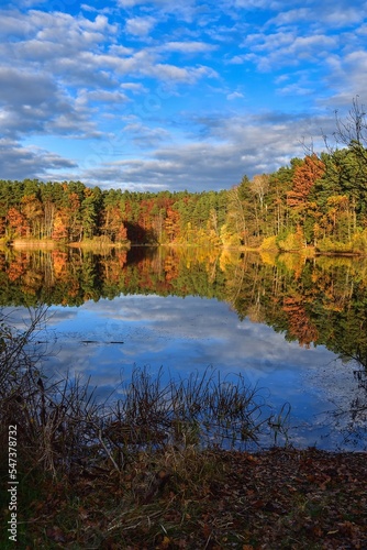 Autumn scene by the water. Colorful trees reflecting in a beautiful pond.