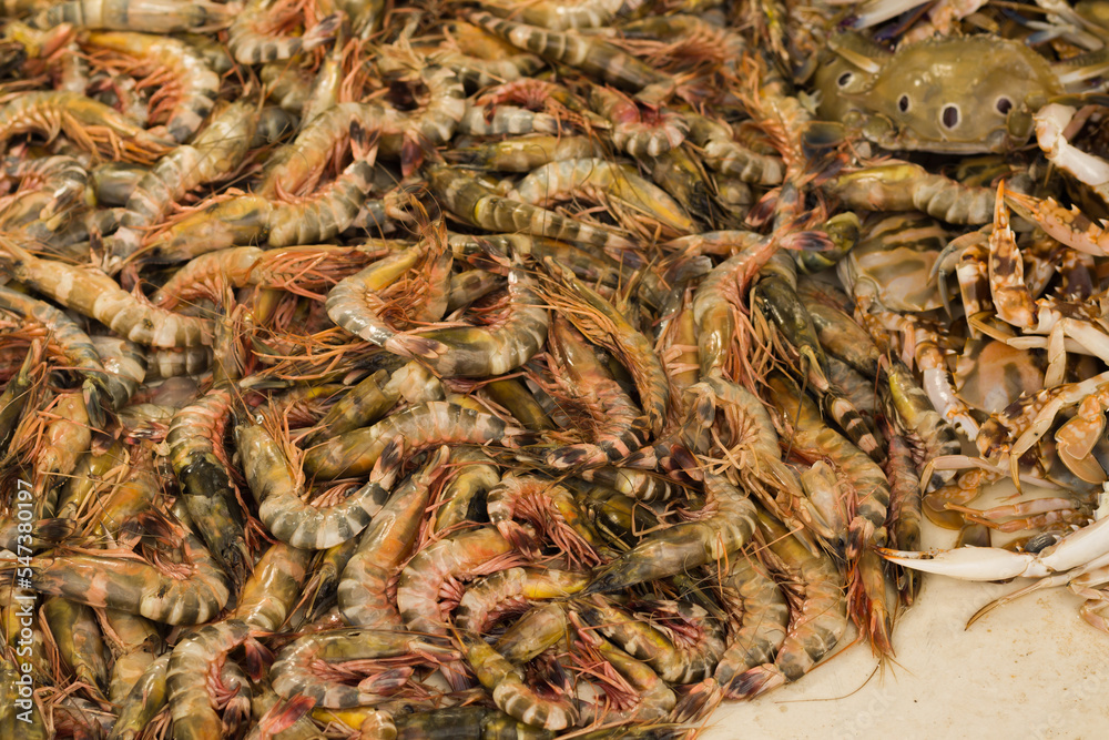 tiger shrimps or tiger prawns kept in a pile to be sold in fish market of india.