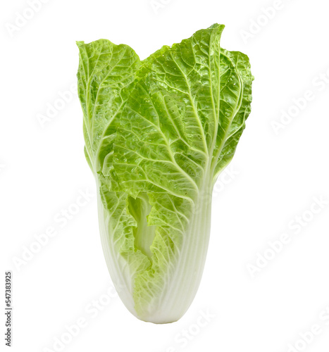 fresh chinese cabbage on transparent png