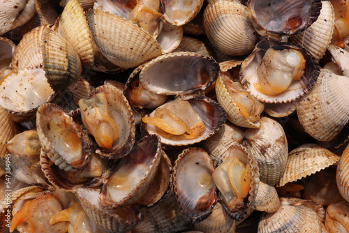 Close-up of grilled cockles from the Galician estuary