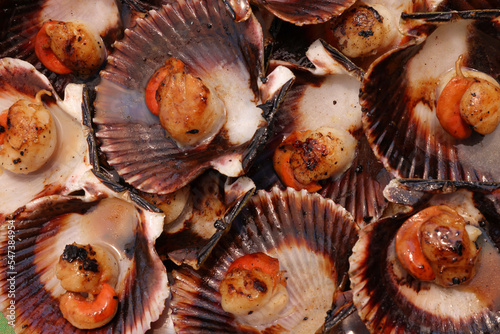 Close-up of grilled Galician scallops