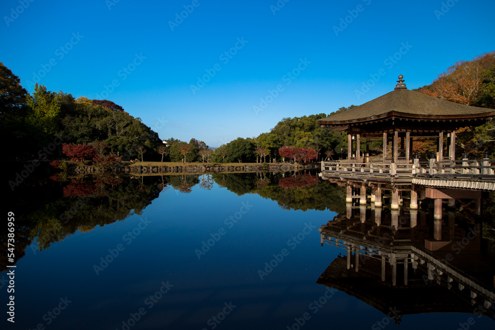 Fototapeta premium 浮見堂