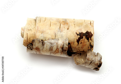 A strip of birch bark naturally curved into a scroll shape, isolated on white photo