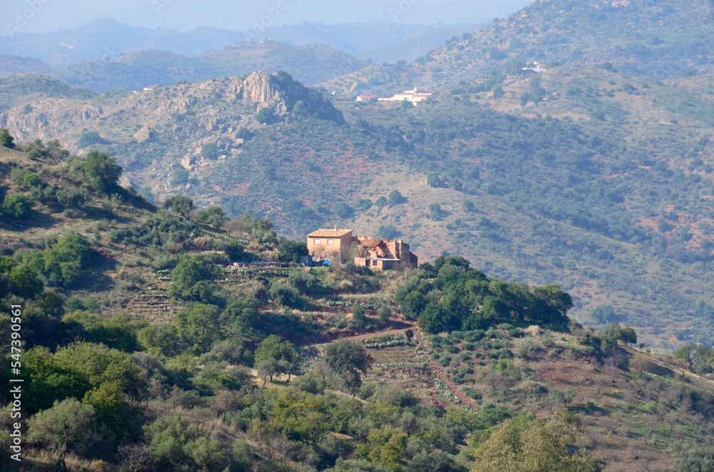 Naturaleza en los Montes de Malaga, Andalucía, España Naturaleza en los Montes de Malaga, Andalucía, España