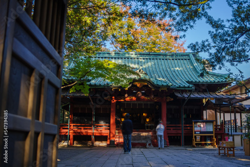 紅葉が鮮やかな赤坂氷川神社の境内