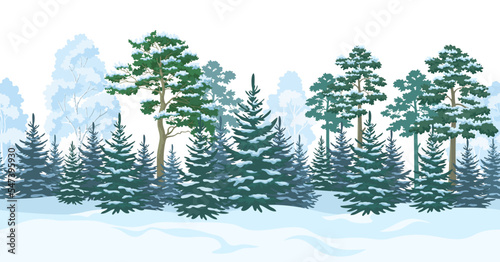 Seamless Horizontal Christmas Winter Forest Landscape with Trees and Snow. Vector