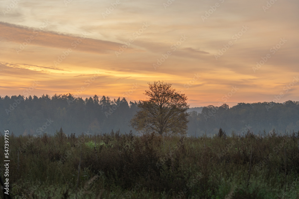 Sonnenaufgang in der Hallertau Sonnenaufgang in der Hallertau