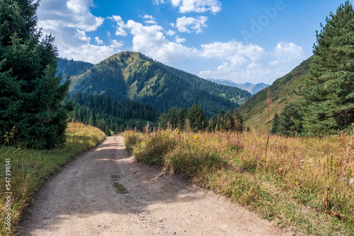 road to the mountains