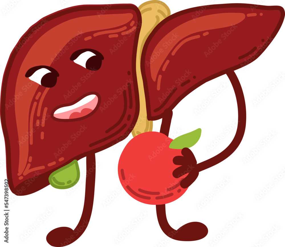 Cartoon liver and healthy food. Healthy lifestyle. Take care of your