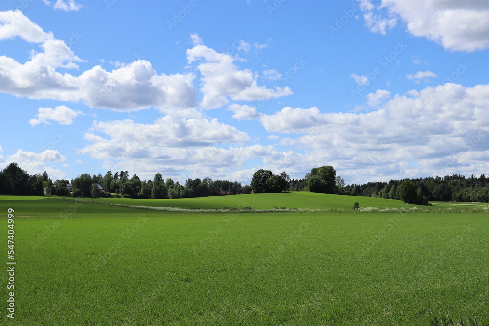 Vivid landscape, bright summer day, blue sky with white clouds, green field.