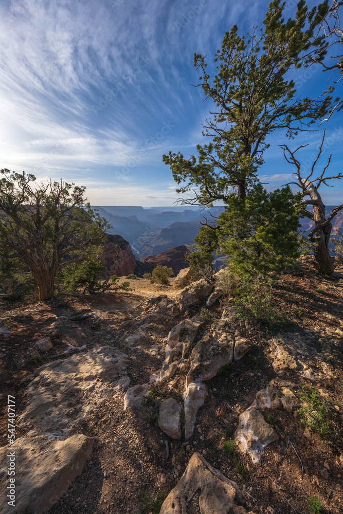 hiking the rim trail at the grand canyon, arizona, usa hiking the rim trail at the grand canyon, arizona, usa