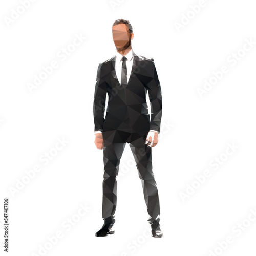 Businessman standing, low poly vector illustration. Man in suit, front view
