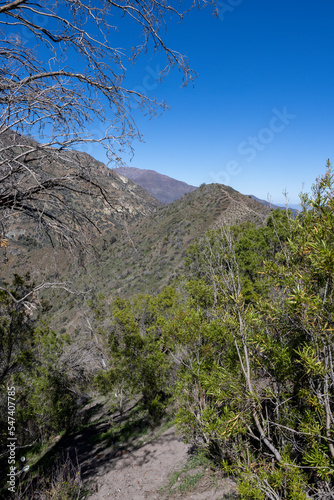 Mirador Tres Valles - Santuario de la Naturaleza Yerba Loca - Traveling Chile