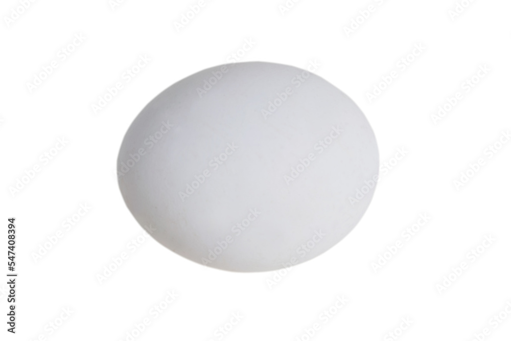 A white egg isolate lies sideways on a white background with copy space A white egg isolate lies sideways on a white background with copy space