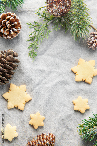 Pine branch and Christmas cookies on a textile background