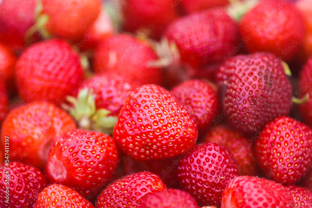 Red ripe strawberries. Fresh organic berries for healthy eating. Red ripe strawberries. Fresh organic berries for healthy eating.