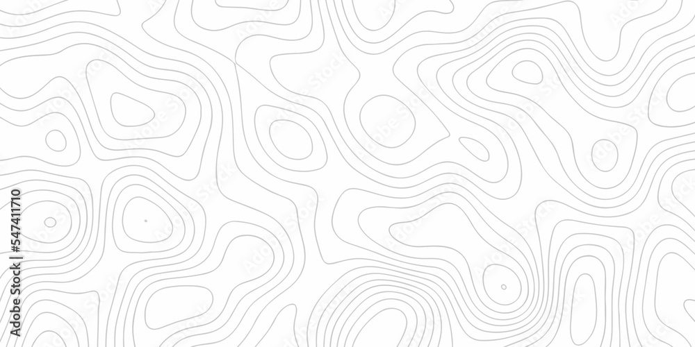 	
Abstract background vector and topographic patter line map background. silver line topography maount map contour background, geographic grid. Abstract vector illustration.