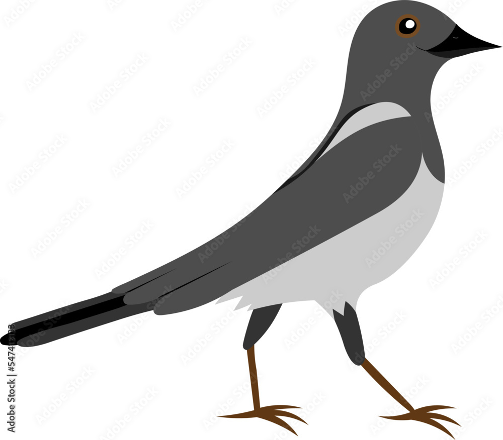 Fototapeta premium Cute cartoon magpie. Cartoon vector illustration for children isolated on white background.