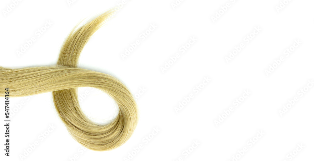 Blond hair wave on white background. Strand of blonde hair, hair care. Hairdresser service, hair strength, haircut, hairstyle. Blond hair wave on white background. Strand of blonde hair, hair care. Hairdresser service, hair strength, haircut, hairstyle.