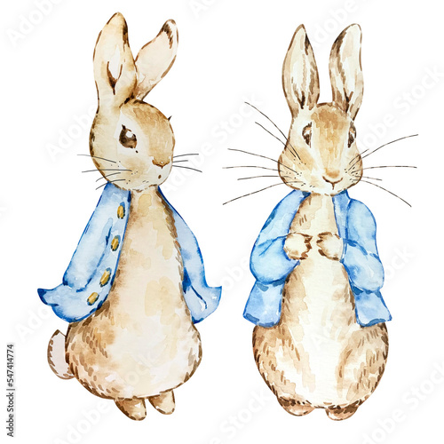 Tela Two watercolor cute rabbits in a blue jacket