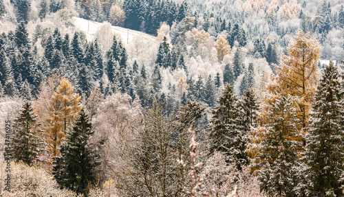 First snow in the forest at the late autumn